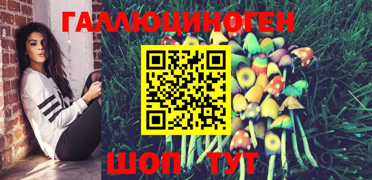 Псилоцибиновые грибы Psilocybine cubensis Тимашёвск