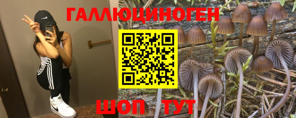 купить наркотик  Галлюциногенные грибы ЛСД  Вход с VPN  Галлюциногенные грибы Cubensis  Тимашёвск 